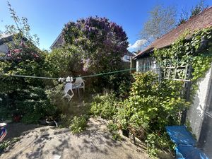 Photo 12- click for photo gallery